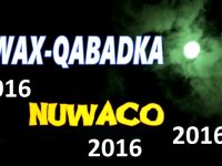 DAAWO Wax-qabadkii 2016 ee Shirkadda Biyaha NUWACO